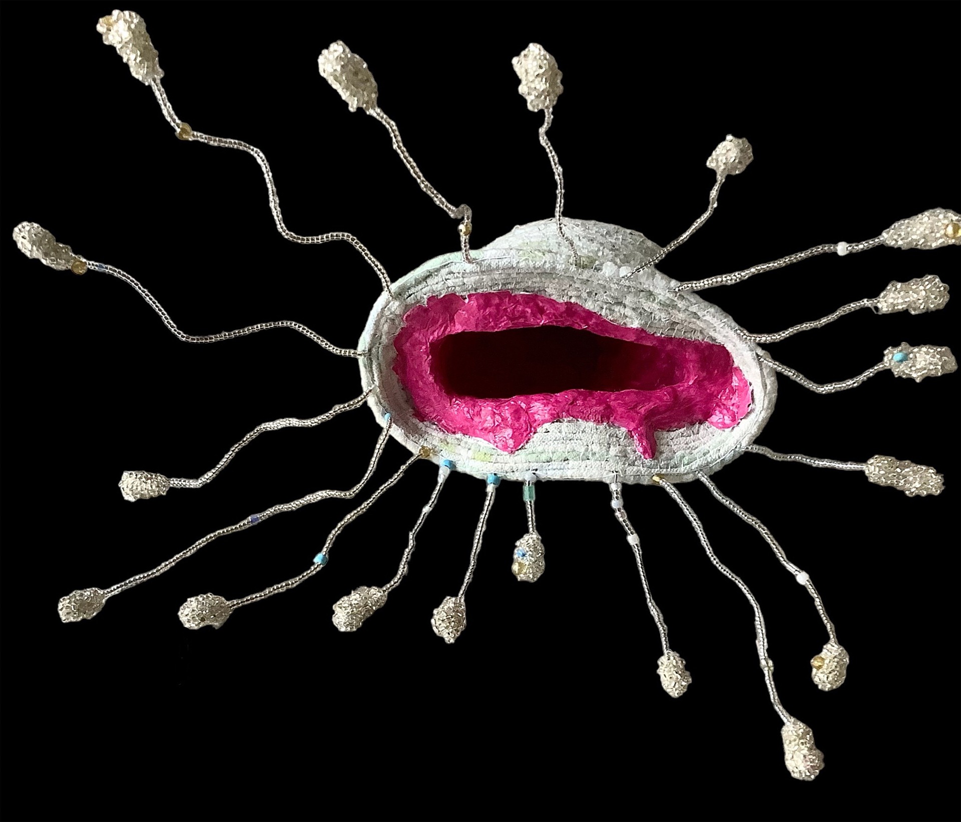 Vulva vulgaris, tekstil, papmasje, perler, 2023
